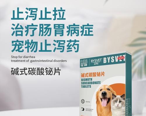 小猫肚账吃什么药？（了解小猫肚账吃药的知识，保护它们的健康。）