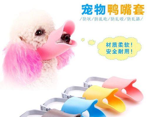 探究1岁狗喜欢咬东西的原因（揭秘幼犬啃咬行为的背后）