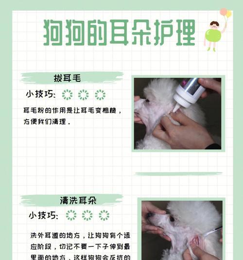 拔耳毛是狗狗健康的关键（掌握正确方法，让狗狗远离耳部问题）