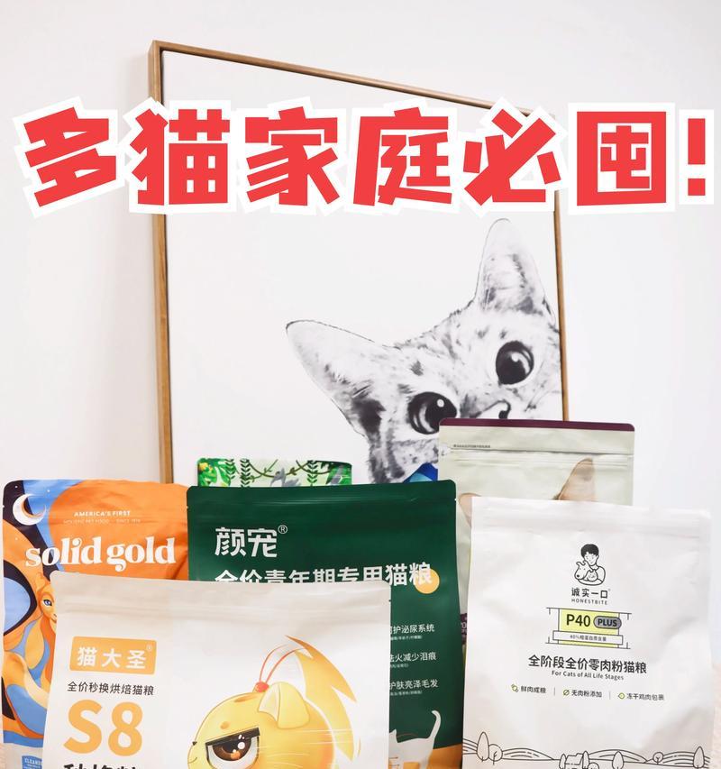 小猫的饮食乐趣（揭秘小猫除了猫粮吃什么的惊喜）