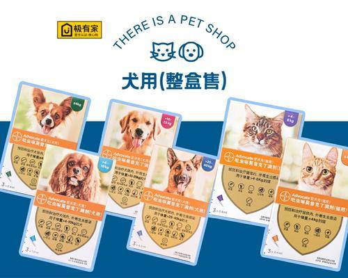 如何选择适合幼犬外驱产品（全面分析市场上幼犬外驱产品的区别及优劣）