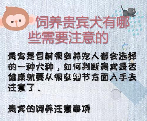 狗狗出生的注意事项（为宝宝健康成长提供指南）