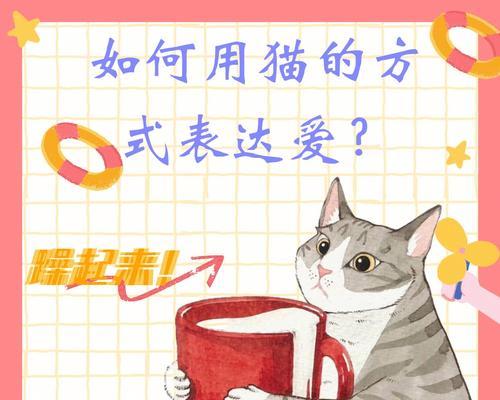 猫的伴侣价值（探索猫对人类的影响力）