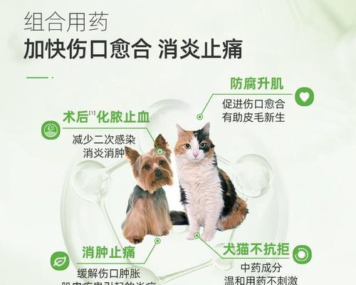 如何选择适合狗伤口消炎的药物？（了解狗伤口消炎药物的种类与使用方法，保护你的宠物健康）