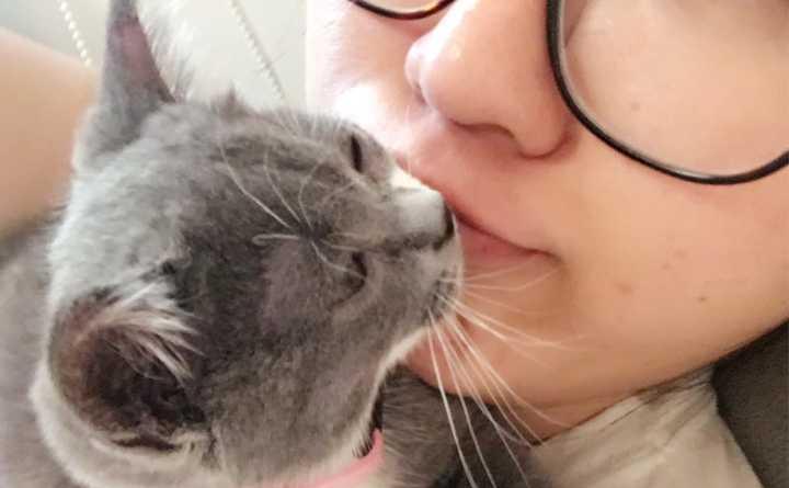 小猫为何一直舔我？（探究小猫舔人行为的原因）