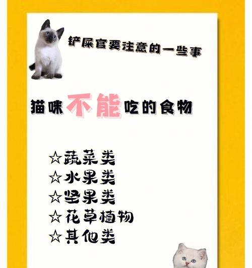猫咪补钙小贴士