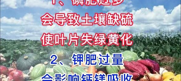 磷含量过高的危害（磷对人体健康的影响及防范措施）