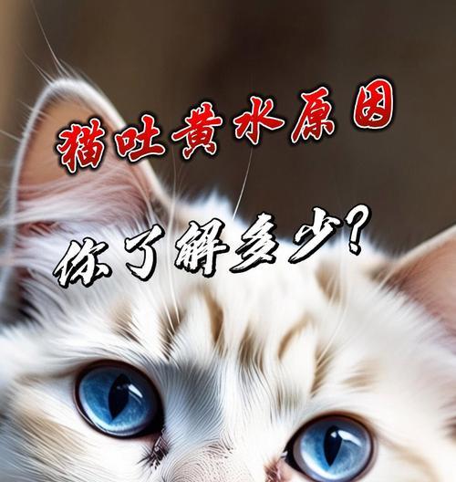 猫吐黄水该如何喂药？（以猫吐黄水喂药的正确方法及注意事项）