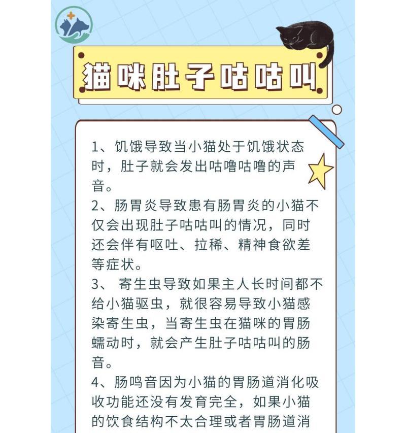猫的寄生虫问题（揭秘猫身上寄生虫的成因及如何预防）