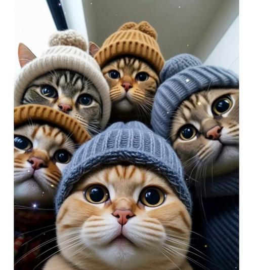 猫咪为什么喜欢薄荷？（揭秘猫咪对薄荷的狂热爱好）