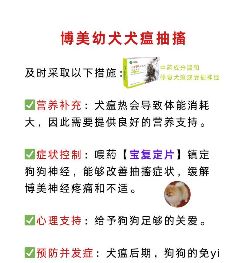 犬瘟的预防与治疗（了解犬瘟，守护犬只健康）