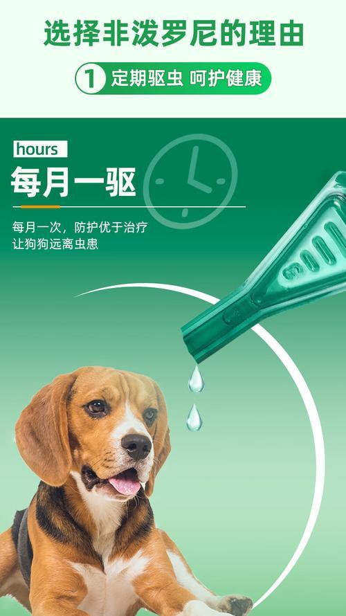 法斗犬驱虫药的选择与使用（了解法斗犬驱虫药的类型及使用技巧，保护宠物免受寄生虫侵害）