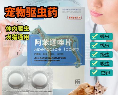 小狗如何通过食物来进行驱虫？（探索小狗饮食中可以帮助驱虫的食物种类及其功效）