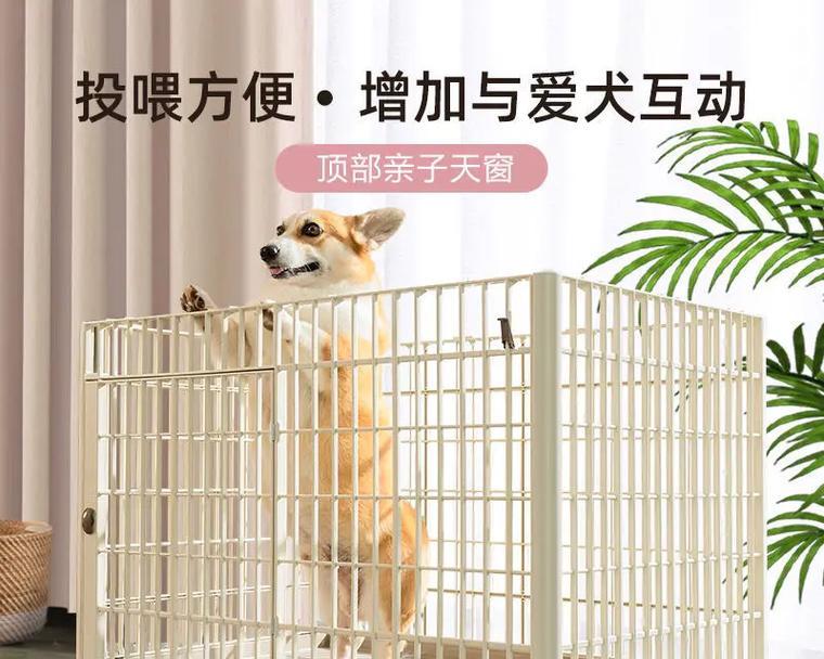如何选择适合小狗的理想笼子？（小狗笼子的材质、大小、设计以及清洁维护）