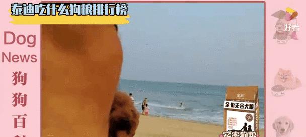 泰迪犬产后饮食注意事项（为母狗提供合适的营养与滋补品）