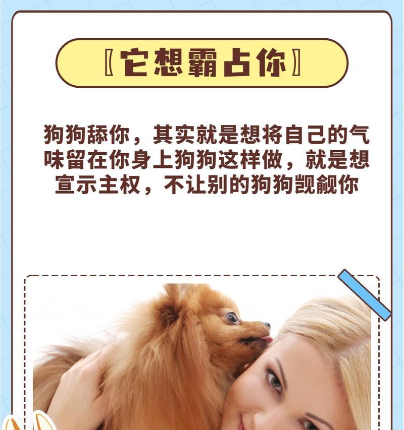 狗狗舔人的意义（狗狗舔人的行为背后所蕴含的情感和意义）