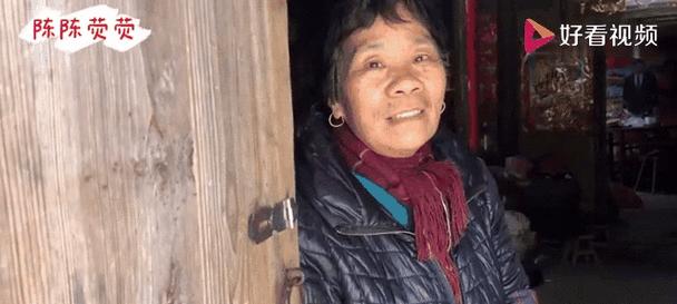 老人不愿意养猫的原因（探寻老人拒绝养猫的心理动因）