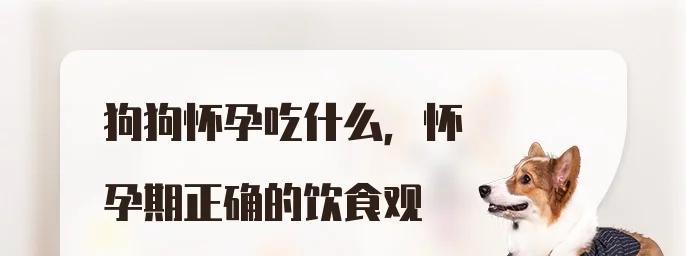 狗狗的饮食与不怀孕（了解狗狗适宜的饮食，让它们远离怀孕的困扰）