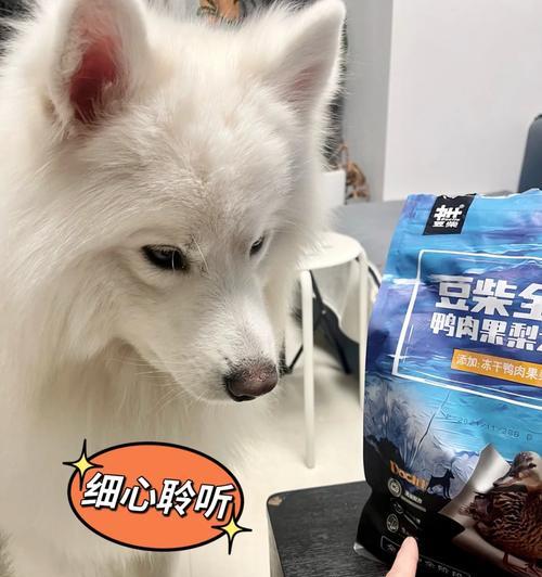 萨摩犬的饮食需求与以猴脸为主题的饮食习惯（探究萨摩犬喜食猴脸的原因及对其健康的影响）