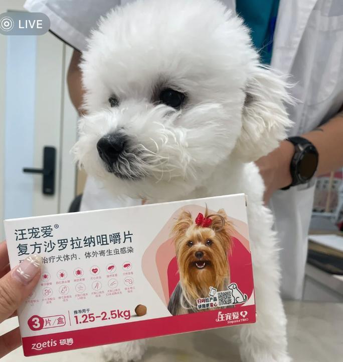 选择合适的季节给狗狗打虫药（狗狗健康保护，从合适的季节开始）
