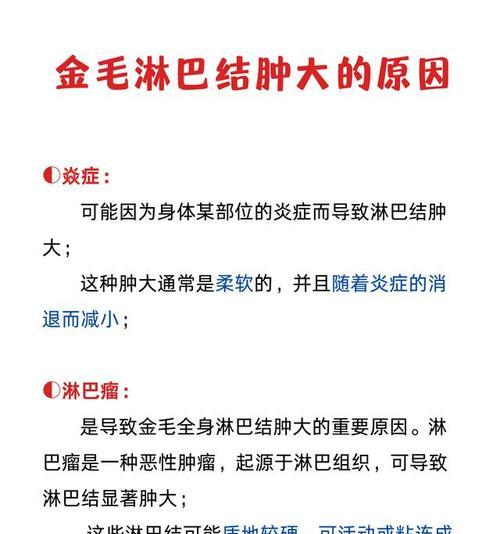 狗狗淋巴结肿大的原因及治疗方法（探究狗狗淋巴结肿大的常见疾病和有效治疗策略）