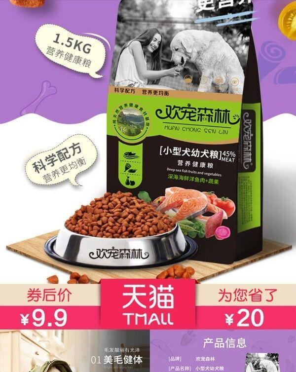 柯基7个月该吃什么狗粮？（详解柯基7个月饮食要点）