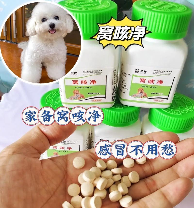 狗感冒怎么办？药物治疗是关键！（掌握正确的药物治疗方法，让你的狗宝宝迅速康复）