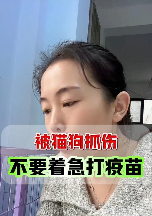 猫的疫苗防护与免疫关键（了解猫的免疫需求，保障宠物健康）
