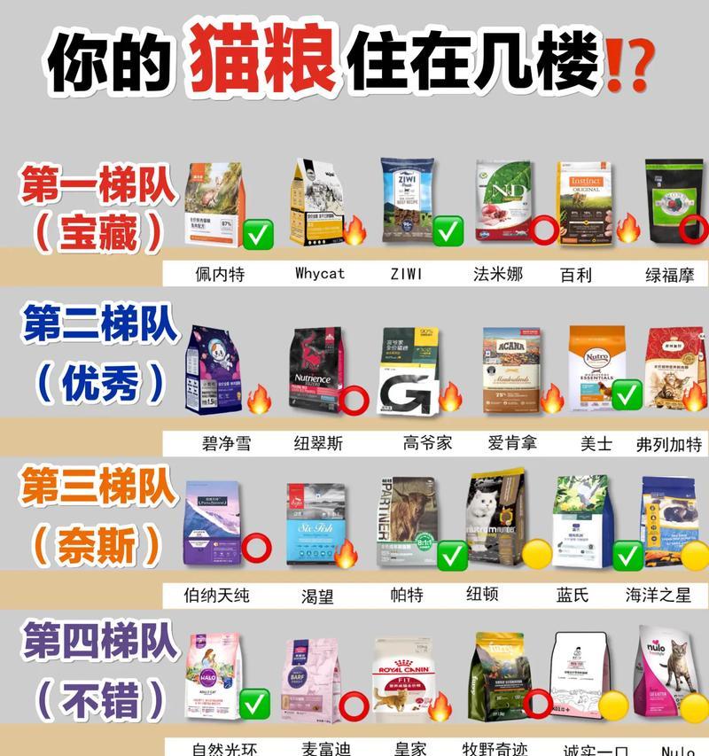 养猫必备用品，让你的猫咪生活更舒适（养猫用品推荐，提升你与猫咪的亲密度）