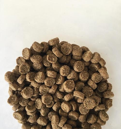 泰迪狗的最佳肉食（选择最适合泰迪狗的肉类饮食）