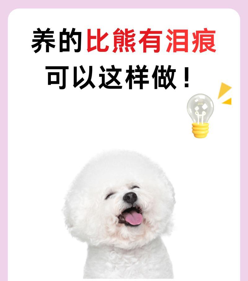 比熊去泪痕，用什么好？（选择合适的工具和技巧，让泪痕问题迎刃而解）
