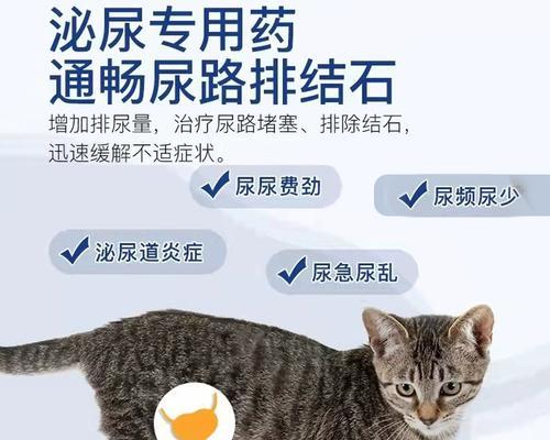 猫咪血尿止血（了解猫咪血尿问题，有效控制止血的药物介绍）