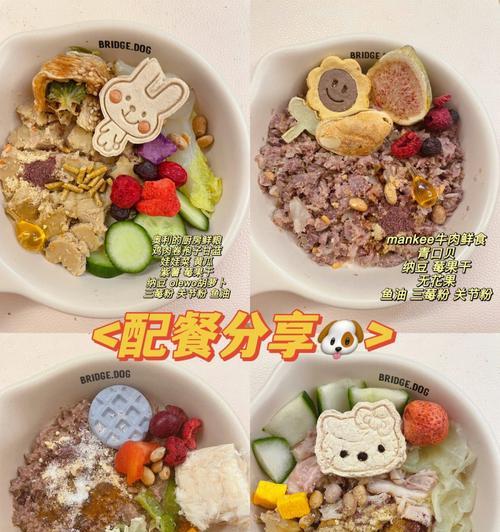 比熊小狗一个多月饮食指南（满足比熊小狗生长需求的营养均衡食谱）