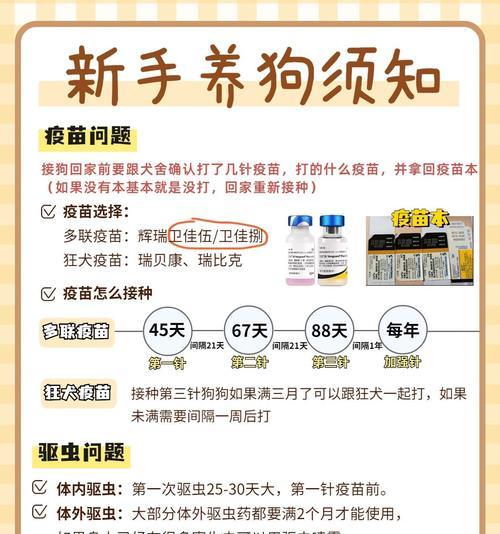 狗狗驱虫的必要性（探讨狗狗身体健康与驱虫的关系）