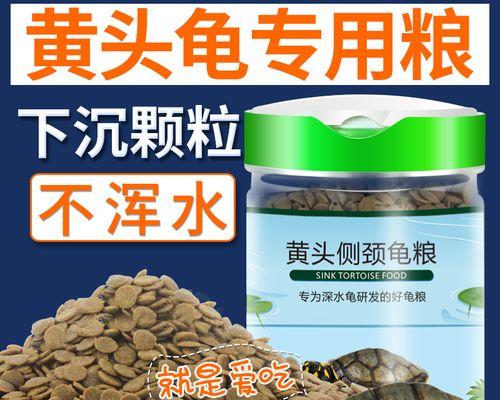 黄头侧颈龟幼龟的饮食要点（合理的饲养方式与注意事项）