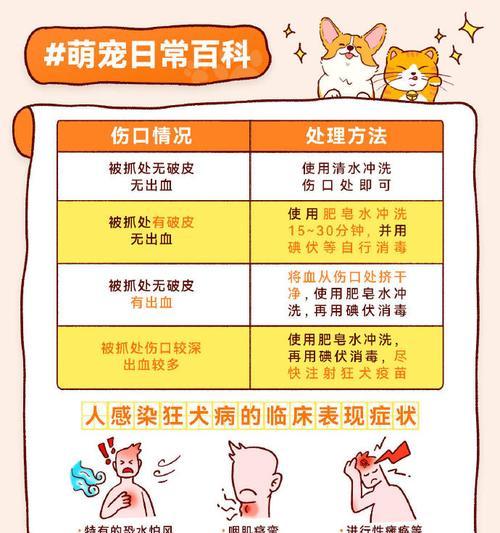 小狗预防针的重要性（保护小狗免受常见传染病侵害）