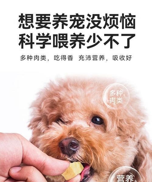 狗狗干粮的最佳搭配（营养均衡，让狗狗吃得健康愉快）