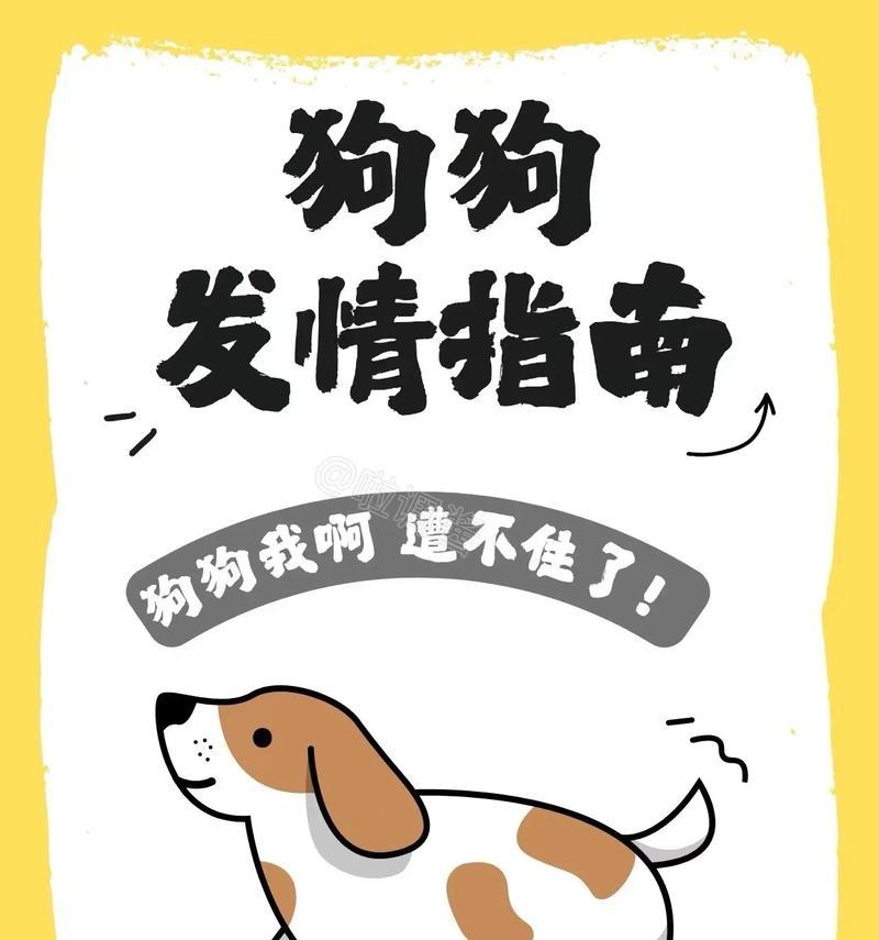 狗狗的月经注意事项（细心呵护，健康宠物）