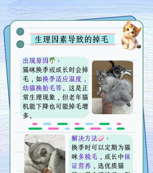 猫为什么在春天脱毛？（解析猫咪春季脱毛原因及应对方法）