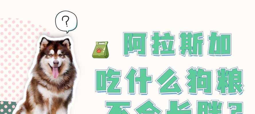 四个月阿拉斯加犬的饮食需求（了解你的宠物，满足其饮食需求）
