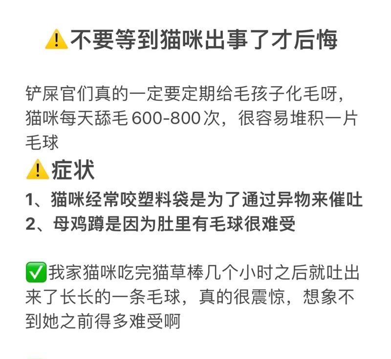 如何通过饮食帮助猫咪排出体内毛团？（保持猫咪健康的关键食物）