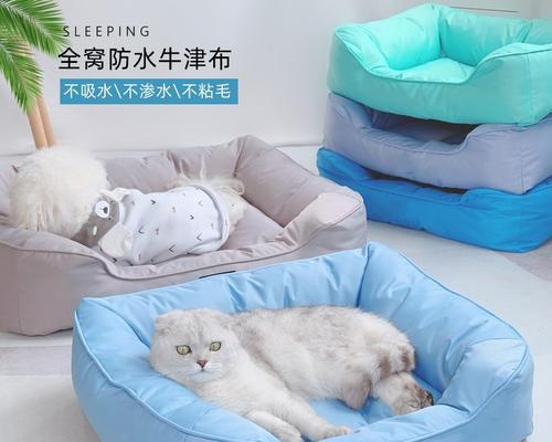 夏天狗的理想睡窝（给狗狗的夏日“五星级住宿”，那里有一片遮阴的天堂）