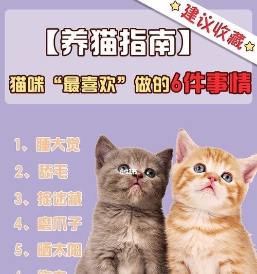 猫咪爱打滚的原因（探究猫咪爱打滚的行为背后的动机与好处）