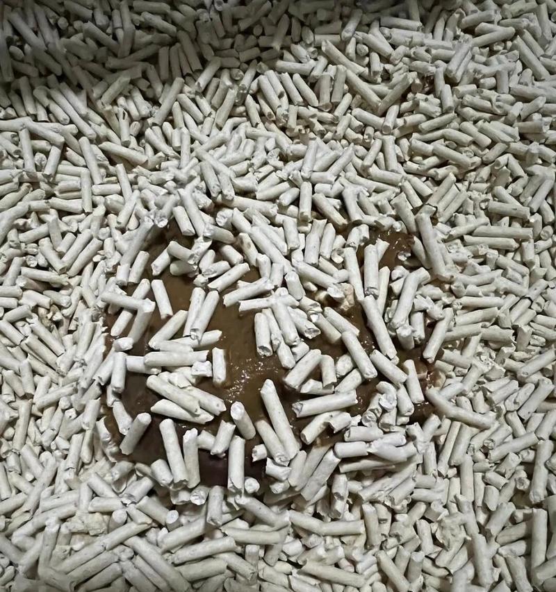 怀孕猫拉肚子的治疗措施（药物和针剂治疗怀孕猫的腹泻问题）