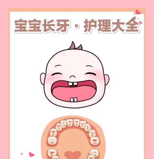 狗什么时候长牙？（探究狗狗的牙齿生长过程与变化）