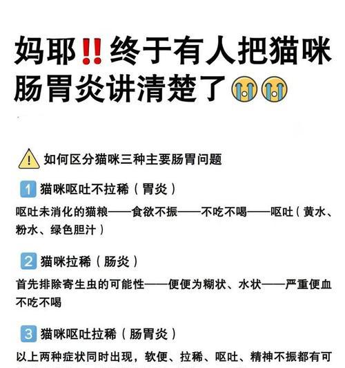 如何处理猫呕吐和拉稀问题（猫呕吐拉稀的原因及应急处理方法）