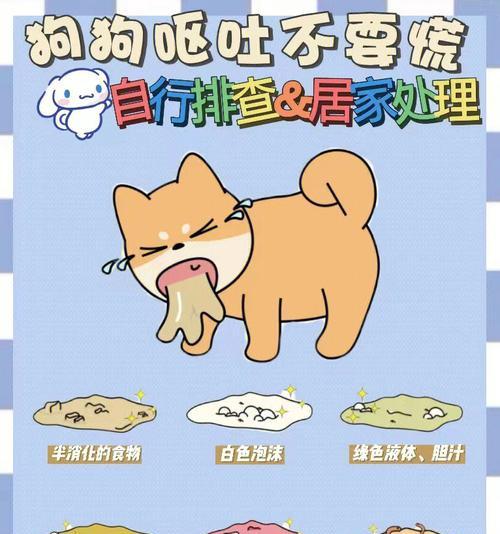 夏天为什么会让狗吐？（探究狗在夏天呕吐的原因以及预防方法）