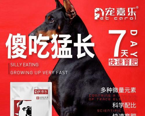 狗吃什么能够长胖？（探索合理饮食，帮助狗宠保持良好体重）