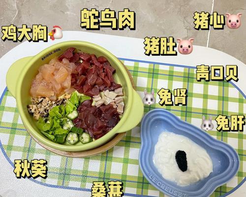 泰迪狗生完宝宝后的饮食需求（了解泰迪狗产后饮食，帮助母狗更好地照顾宝宝）