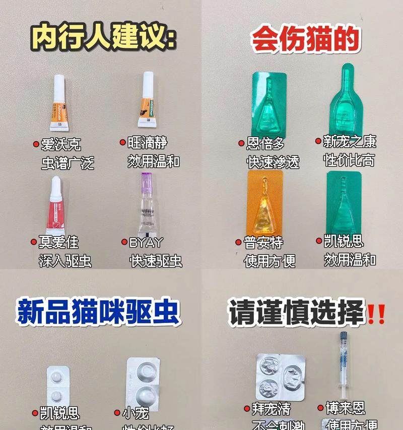 成年猫拉肚子的治疗与药物选择（了解成年猫拉肚子的原因及适当药物治疗的关键）